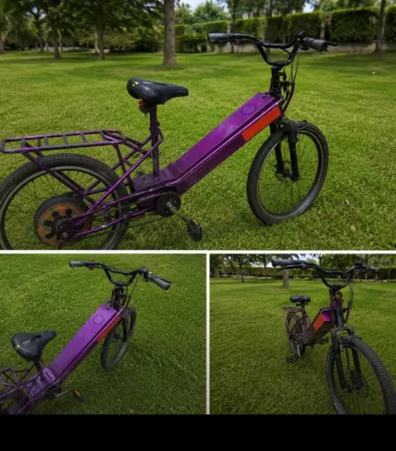 Bicicleta elétrica