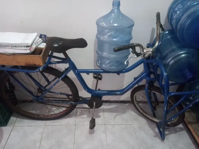 Bicicleta Cargueira