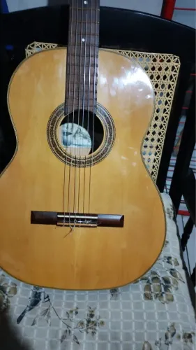 Violão Giannini