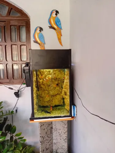 Aquario