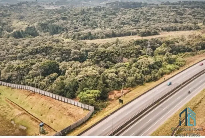 Terreno de 73.000 m² com 35.000 m² de área livre no eixo da CITCOL - Colombo (PR).