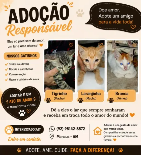 Doação responsável