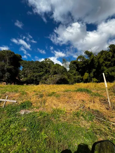 ? TERRENO , Macuco