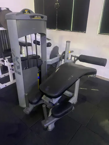 Mesa flexora 