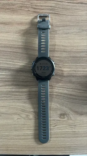 Garmin 245