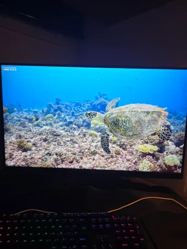 Monitor Gamer Lg UltraGear 32 QHD 165hz (POUQUISSIMO USADO)