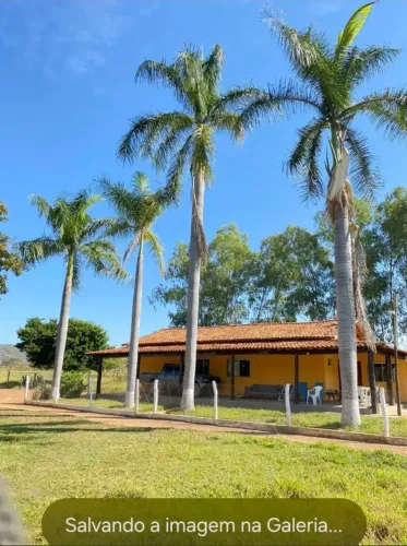 FAZENDA A VENDA