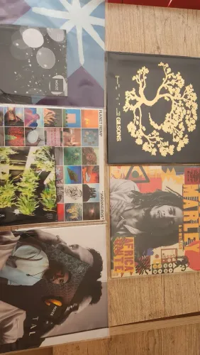 Lote 5 lps los germanos rashid Gilsons planeta hemp Bob marley noize 3 selos