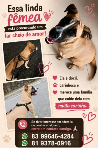 doação 