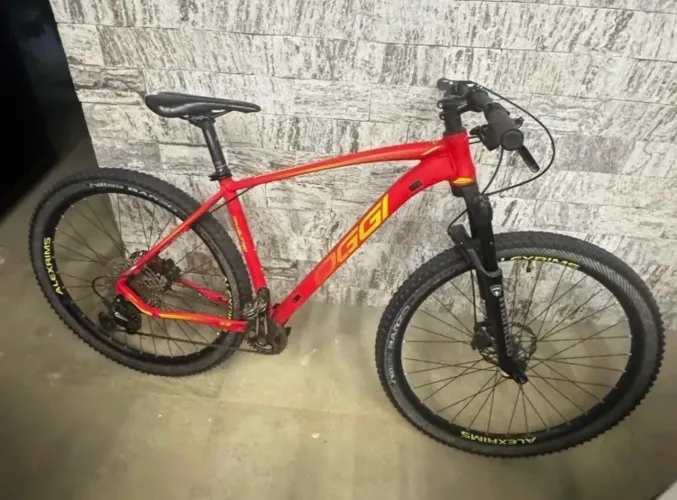 Bike oggi 7.3