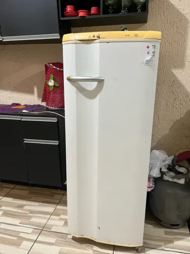 Vende sé geladeira