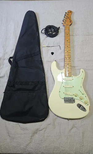 Stratocaster Tagima TG 530 completa