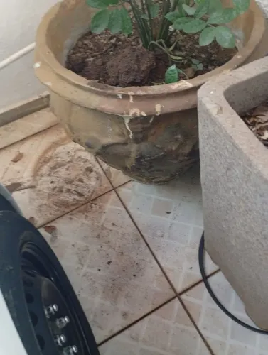Vasos de planta de concreto
