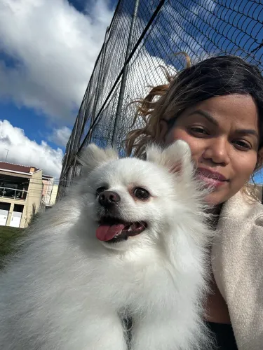 ?Hospedagem para cães e gatos em Curitiba ? Pet sitter com carinho? 120 $