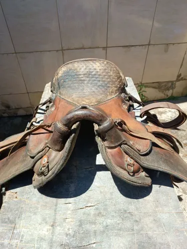 Sela australiana