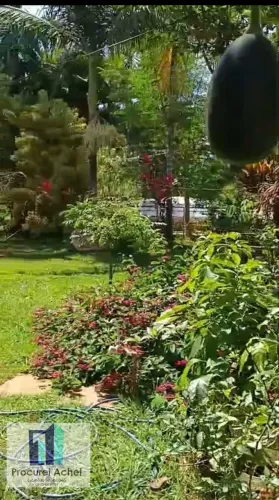 Chácara A Vend, Locação, Córrego do Atoleiro - Planaltina DF