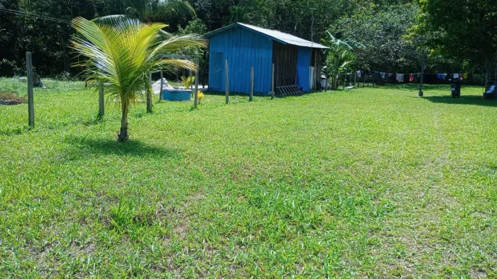          Sitio com uma casa de madeira.     