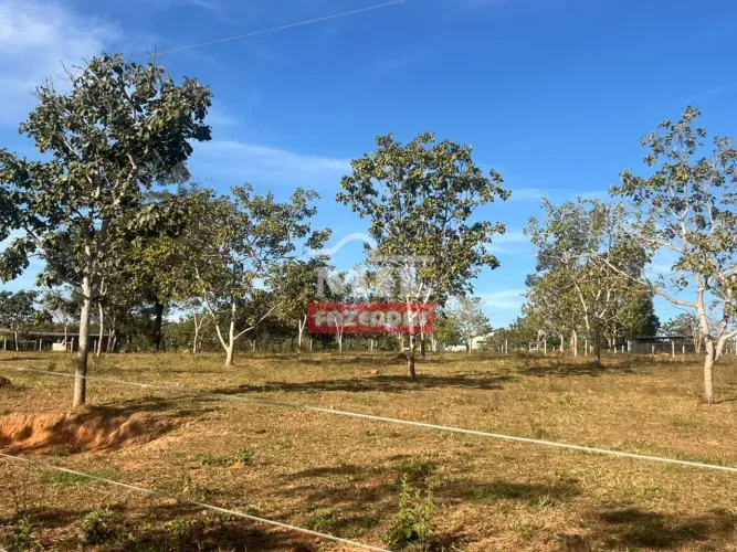 Chácara 20.000 m² Inhumas - GO
