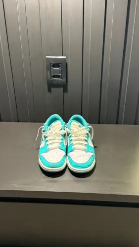 Nike Dunk Low Next Nature White dusty cactus