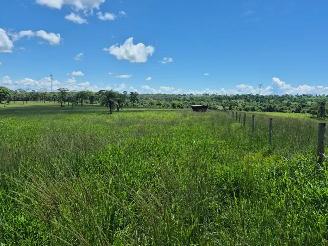 Margem Belém-Brasília!
