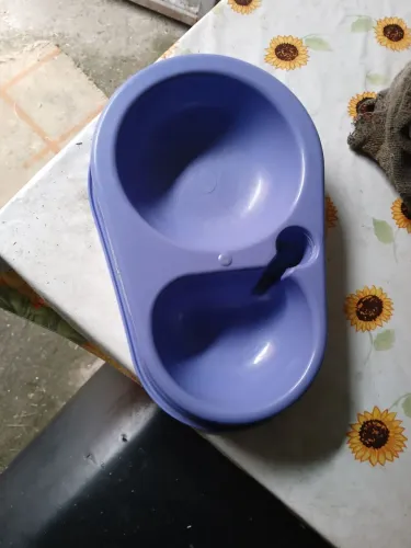 Bebedouro e porta ração para cachorro 