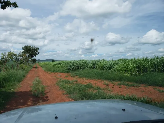 Vendo fazenda