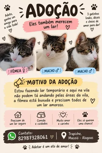 ADOÇÃO