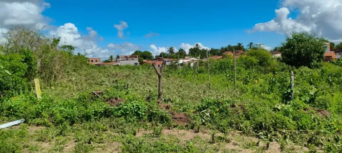 Terreno pra vender