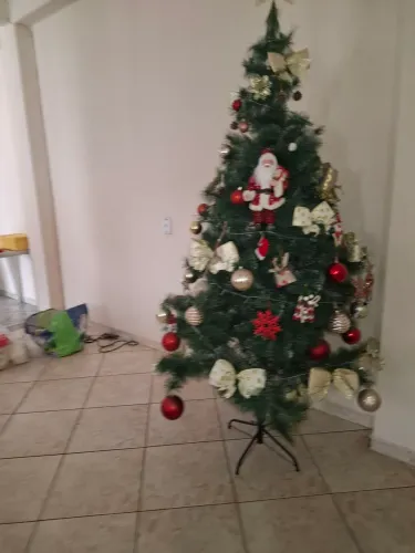 Disponível