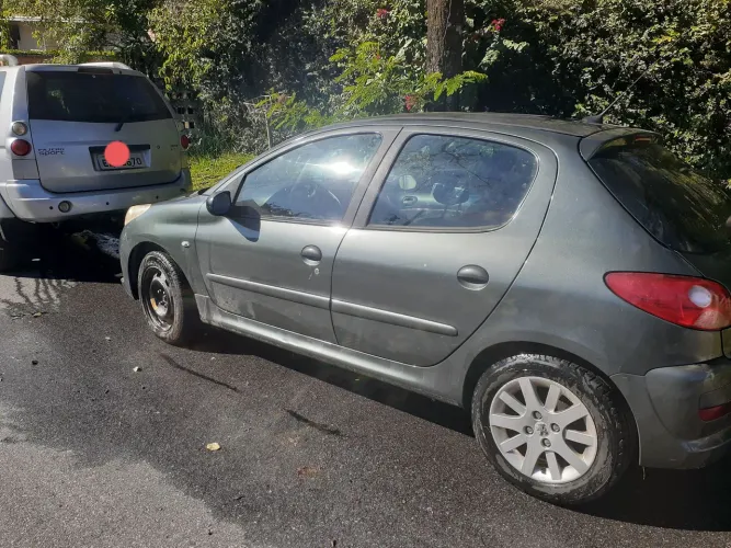 Peugeot 207 XS 1.6 Flex 16V 5P 2010