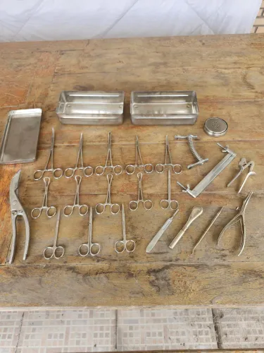 INSTRUMENTOS CIRÚRGICOS VETERINÁRIO