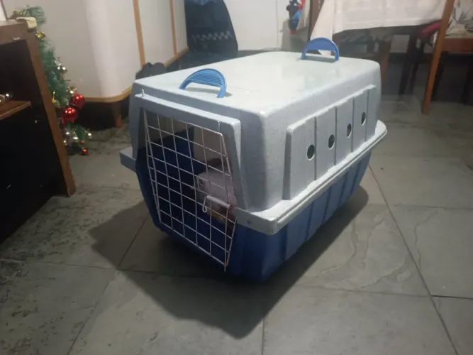 Caixa de transporte de cão