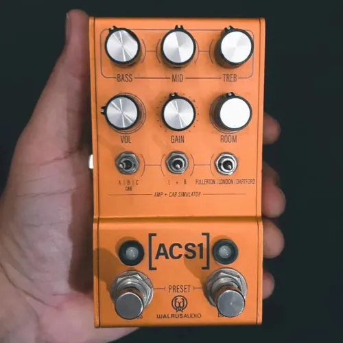 ACS1 Walrus