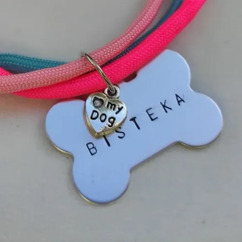 Placa de Identificação Pet Gravada com Nome e Telefone