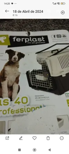 Vende-se caixa de transporte de cachorro
