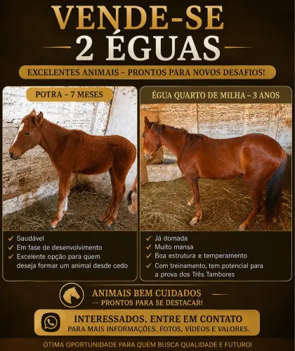 2 Eguas