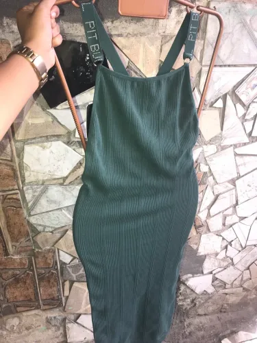 Vestido da pitbull