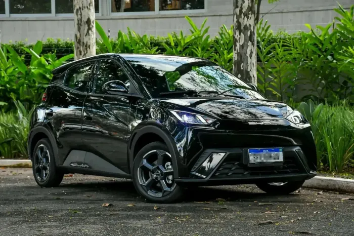 BYD Dolphin Mini (Elétrico) 2025
