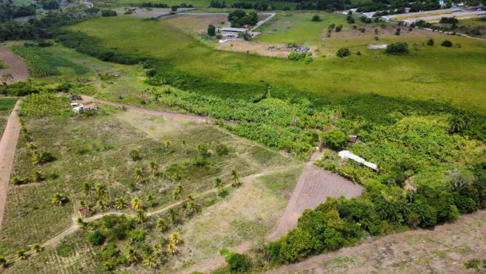 LOTES GIGANTES EM ALHANDRA 