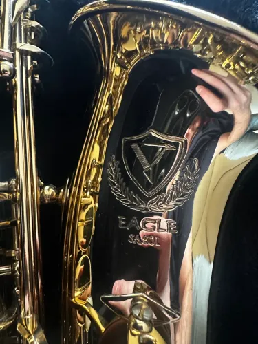 Saxofone Alto Eagle sa 501