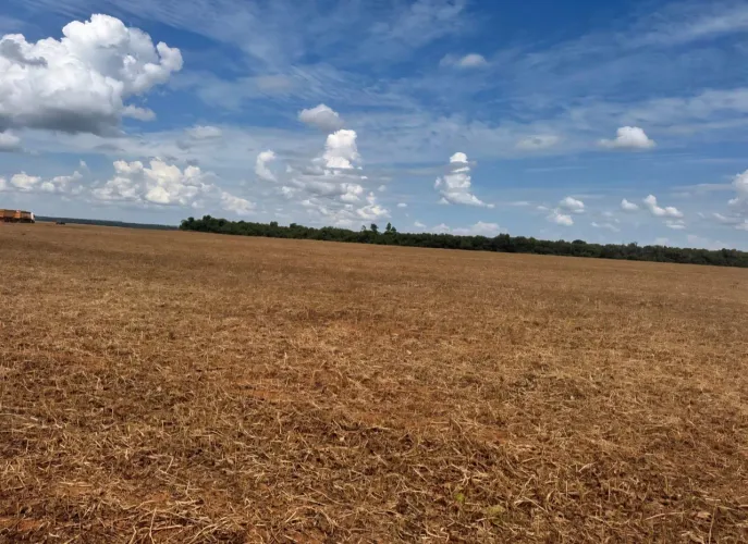 Fazenda de arrendamento 875, hec em nova ubiratã MT.