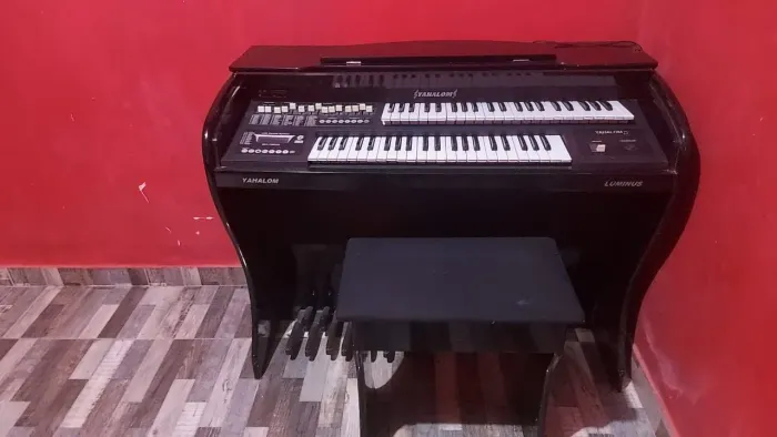 Vendo Órgão, instrumento musical, leia o anúncio: