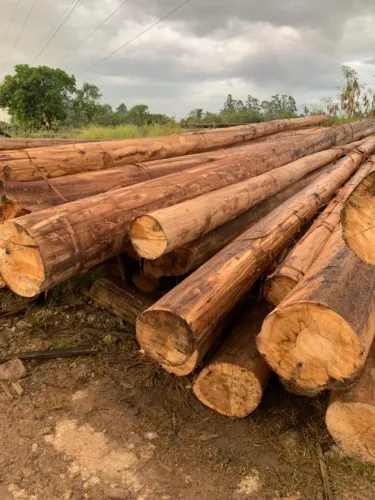 Poste em eucalipto natural, com tratamento a óleo