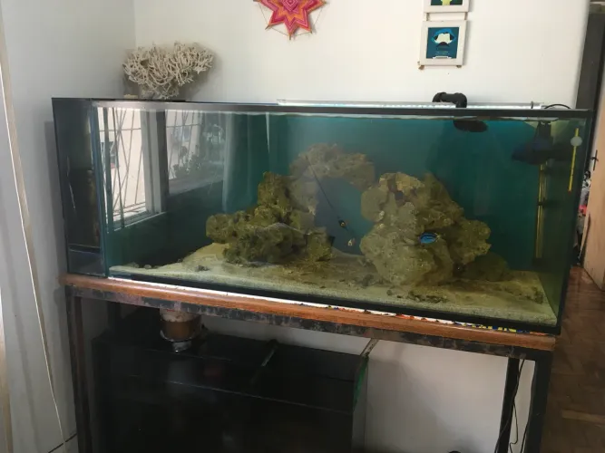 Aquário Marinho Completo 300L + Sump + Móvel + Equipamentos