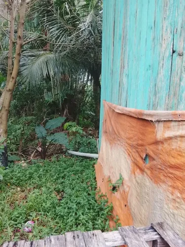 Terreno com casa de madeira