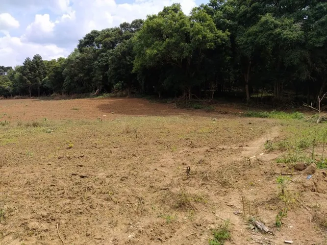 Sitio estrada doce fino