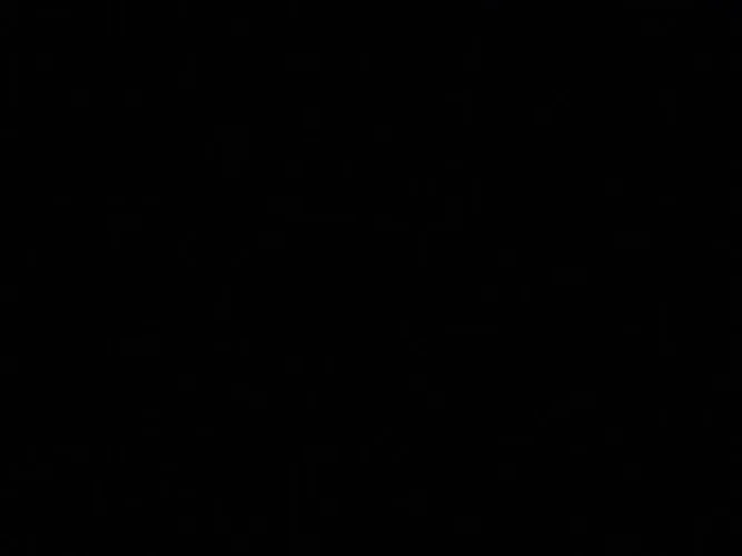 Emprego Monitoramento de Cães Hotelzinho e Creche 