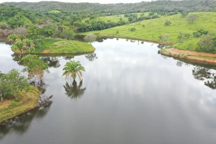 Fazenda Top 105 Alqueires - Cultura!