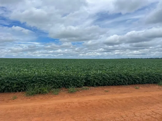 Fazenda arrendamento 4.360hec em Sinop com silos 340 mil sacas e maquinas