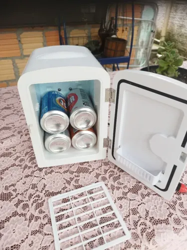 Geladeira de carro
